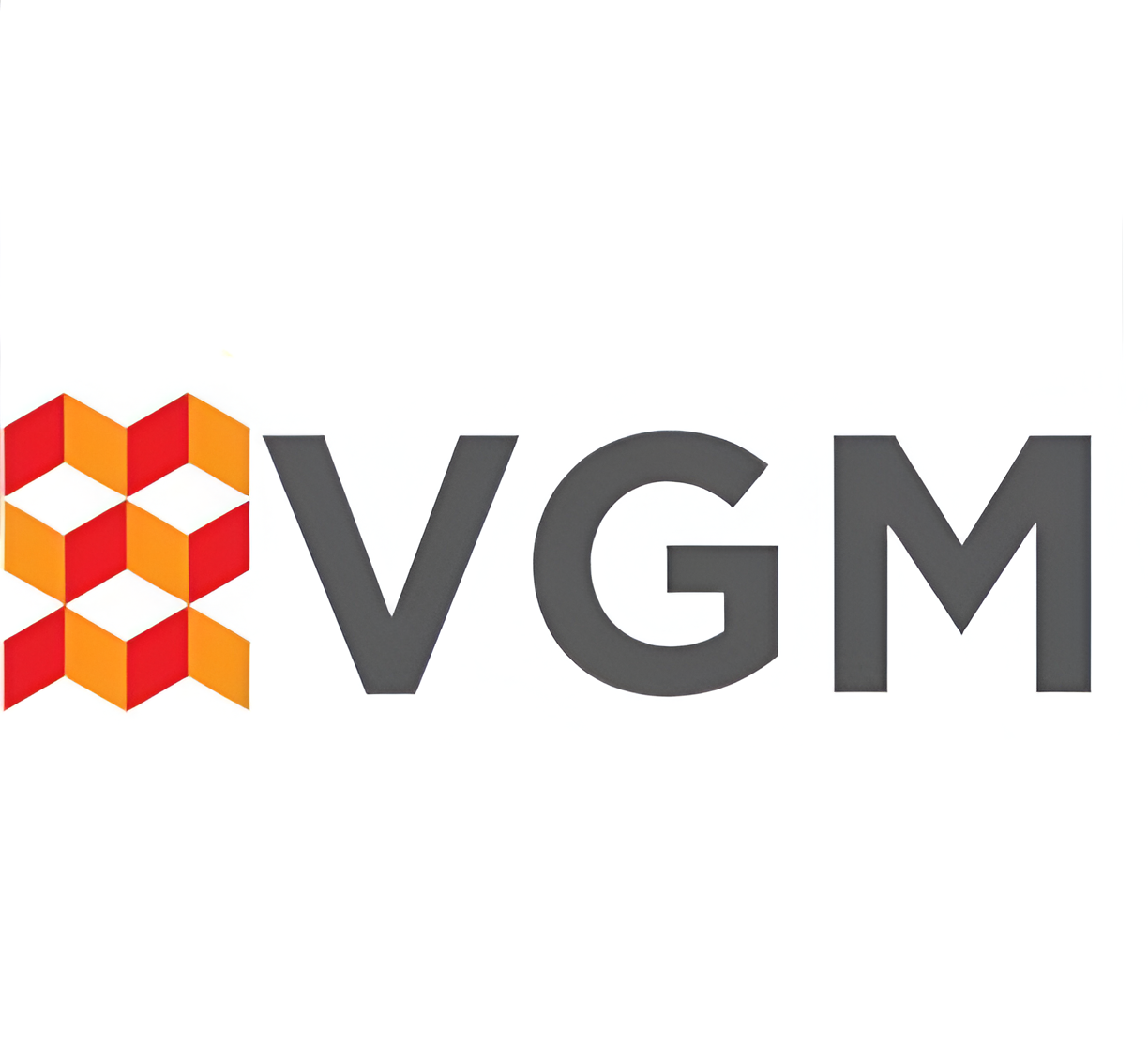 VGM CONSULTANTS LTD
